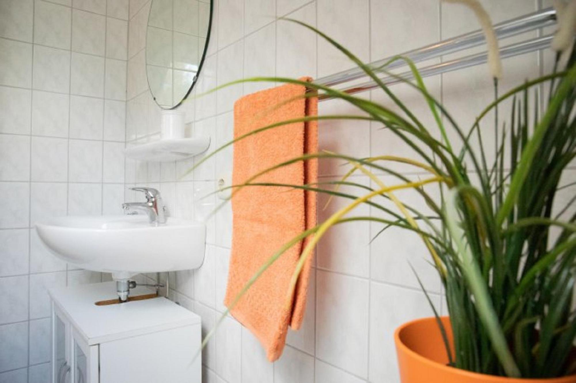Reiterhof Ekenhoff Apartment Moorweg Luaran gambar